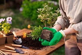 Gardening